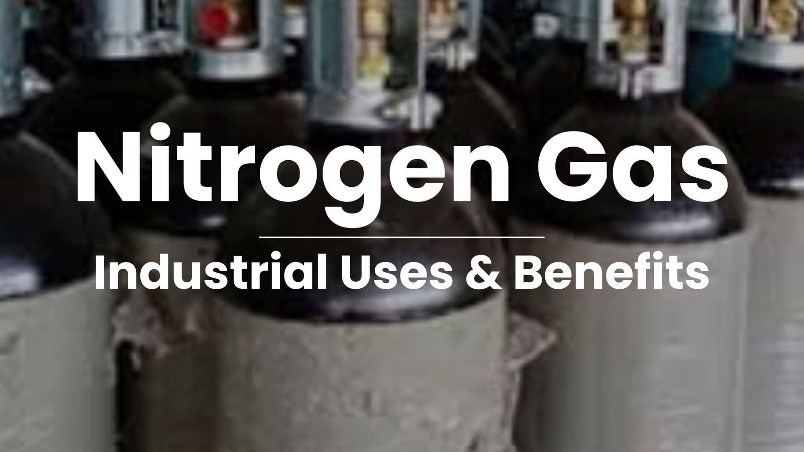 Nitrogen Gas Supplier